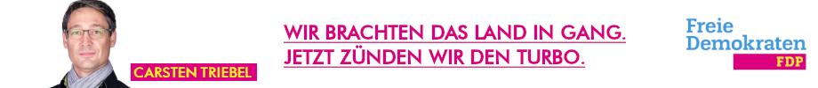 GRÜNES Telefon mit Informationen zur Landtagswahl an ...